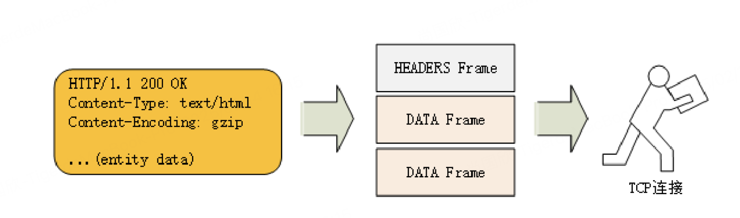 image-fcst.png