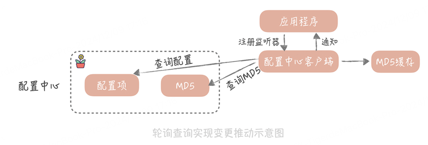 image-sjng.png